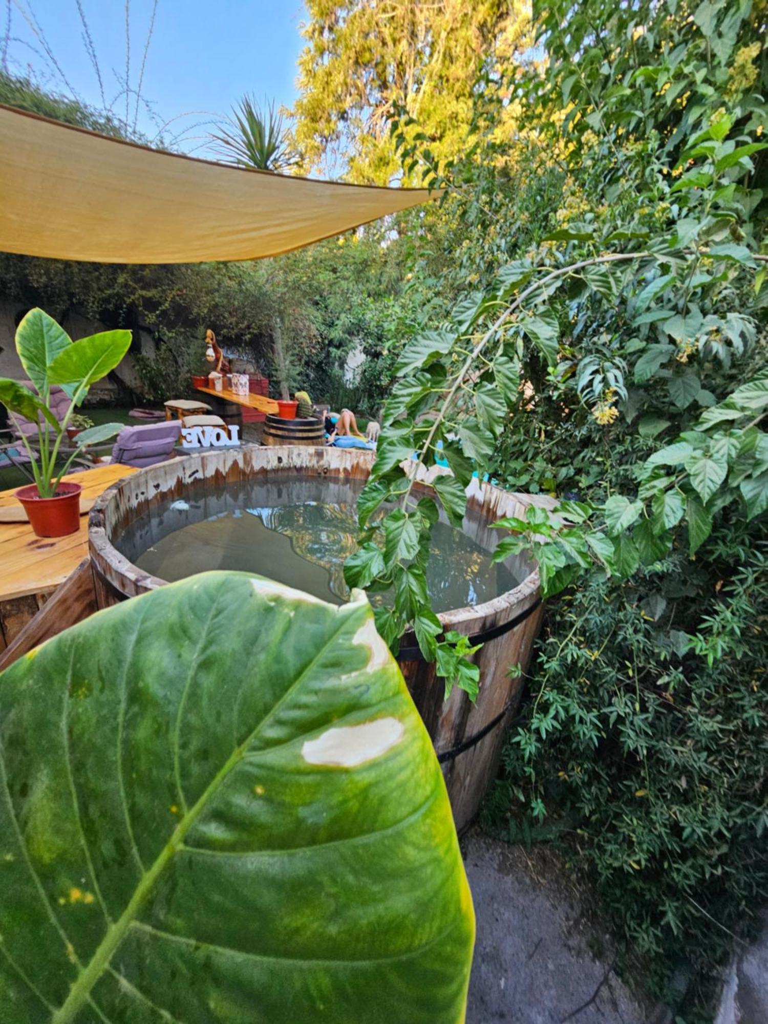 La Araucaria Cabana Con Tinaja San Felipe Exterior foto