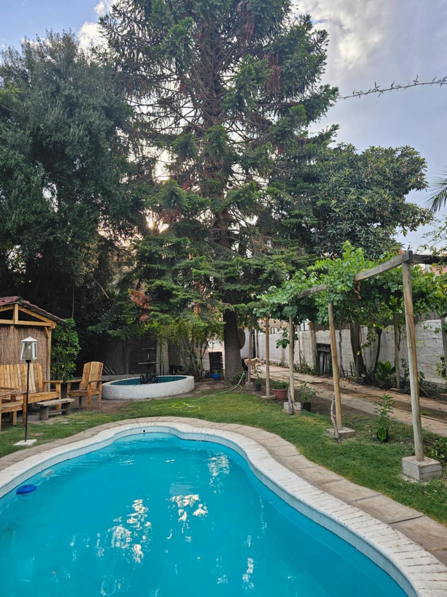 La Araucaria Cabana Con Tinaja San Felipe Exterior foto